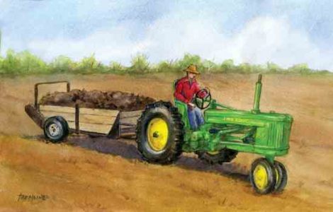 Adding Manure to Grass Seed Creates a Lush Lawn Image